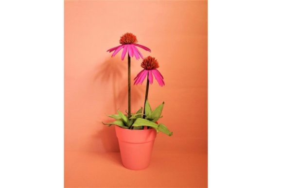 Cone Flower Paper Flower Templates: 3D SVG Review